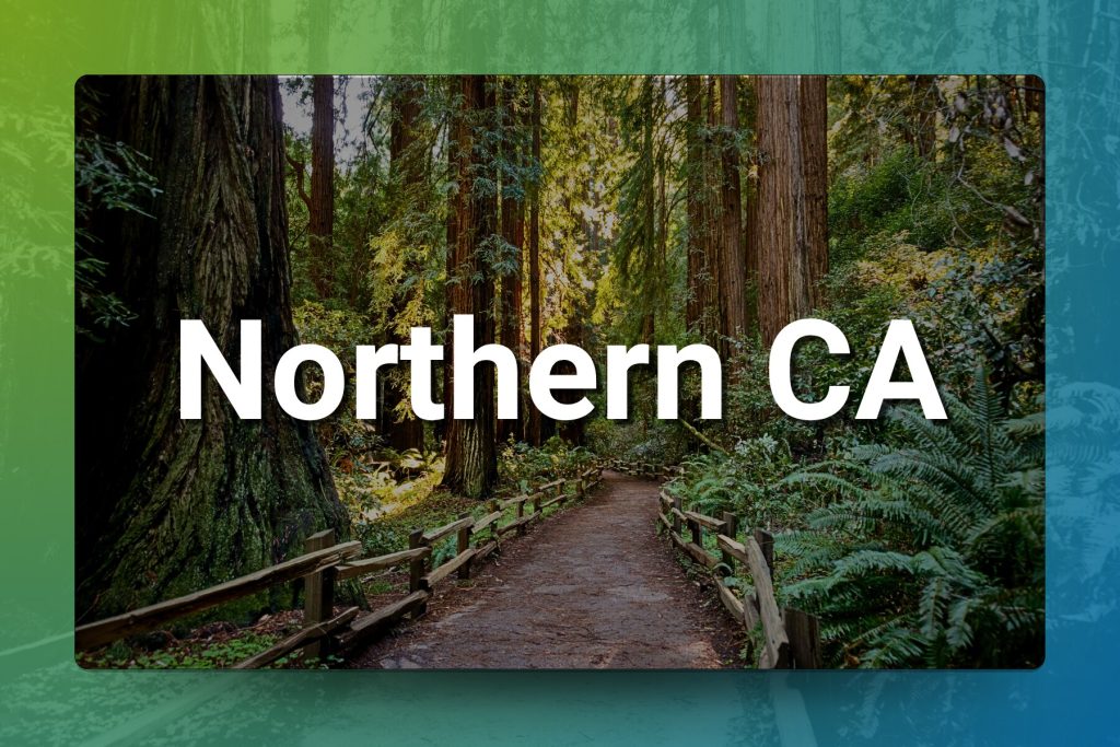 Northern CA Chiropractic Practice: Seller Note Available