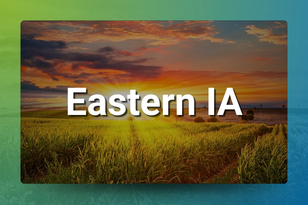 Chiropractic Practice for Sale — Eastern Iowa: No Retraining